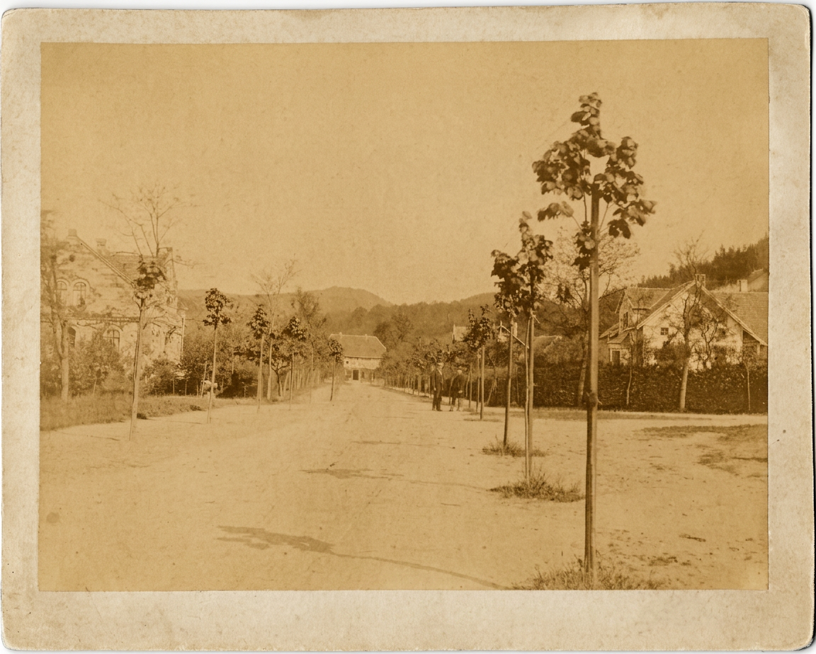 OPTIMIERT_1900, Straße zum Schützenhaus., vor 1900