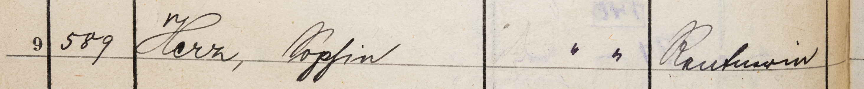 OPTIMIERT_3c, Staatssteuerrolle 1919 + 1920 (Im116), Herz, Sophie Rentnerin Pfaffenberg 2a, Ausschnitt