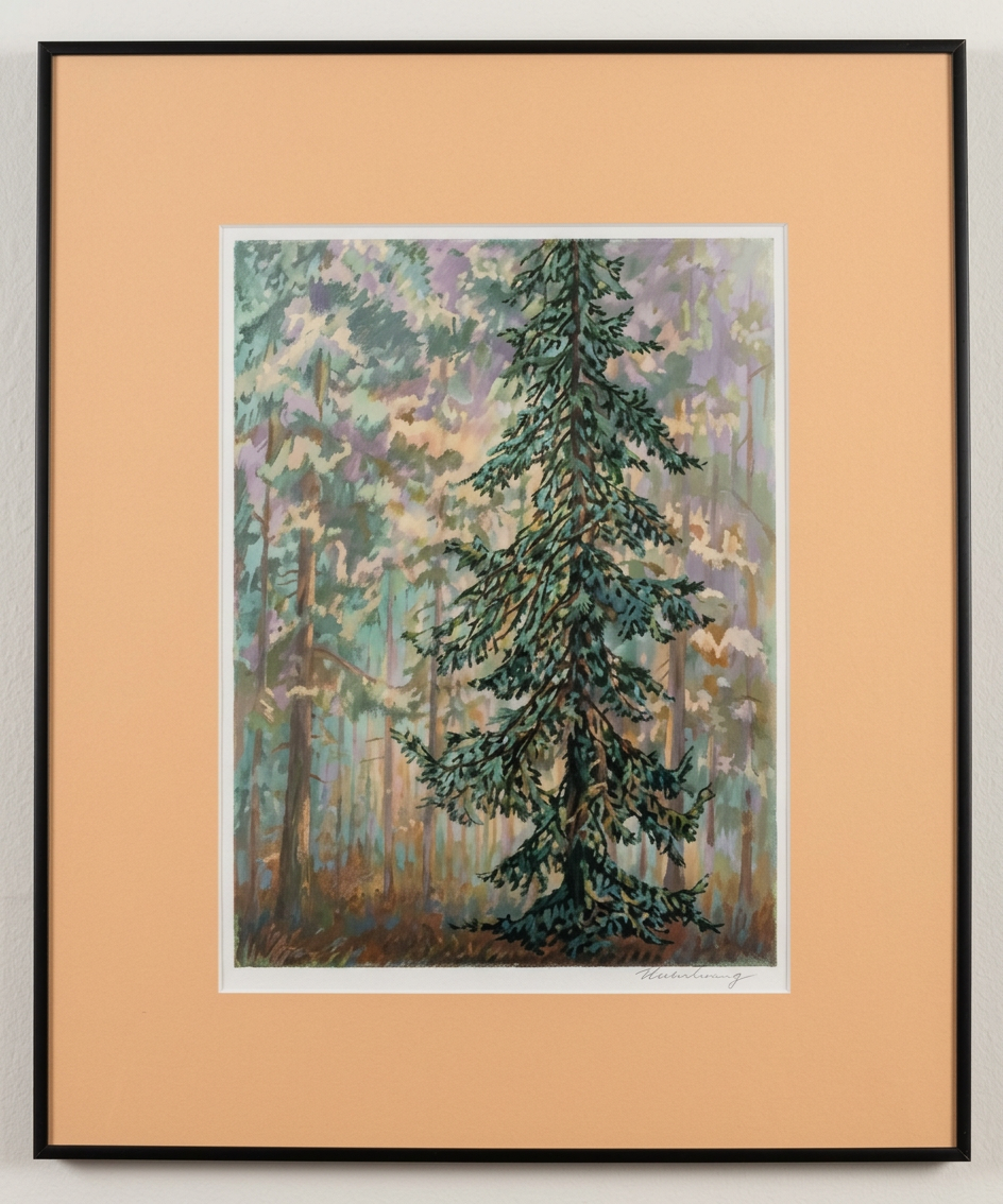 OPTIMIERT_2015-01-09, Bobring, Nadelbaum, Privatbesitz Boehm, a 2
