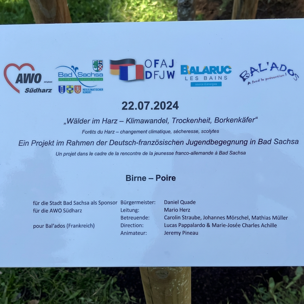OPTIMIERT_2024-07-22, AWO + BAL`ADOS, KlimaWandel, NICHT DFG. Fotos AWO Familienzentrum Südharz fa 26.7.2024, a
