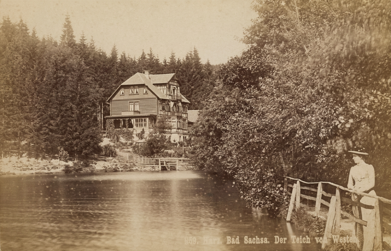 OPTIMIERT_1901, 269. Harz. Bad Sachsa. Der Teich von Westen. Ausschnitt