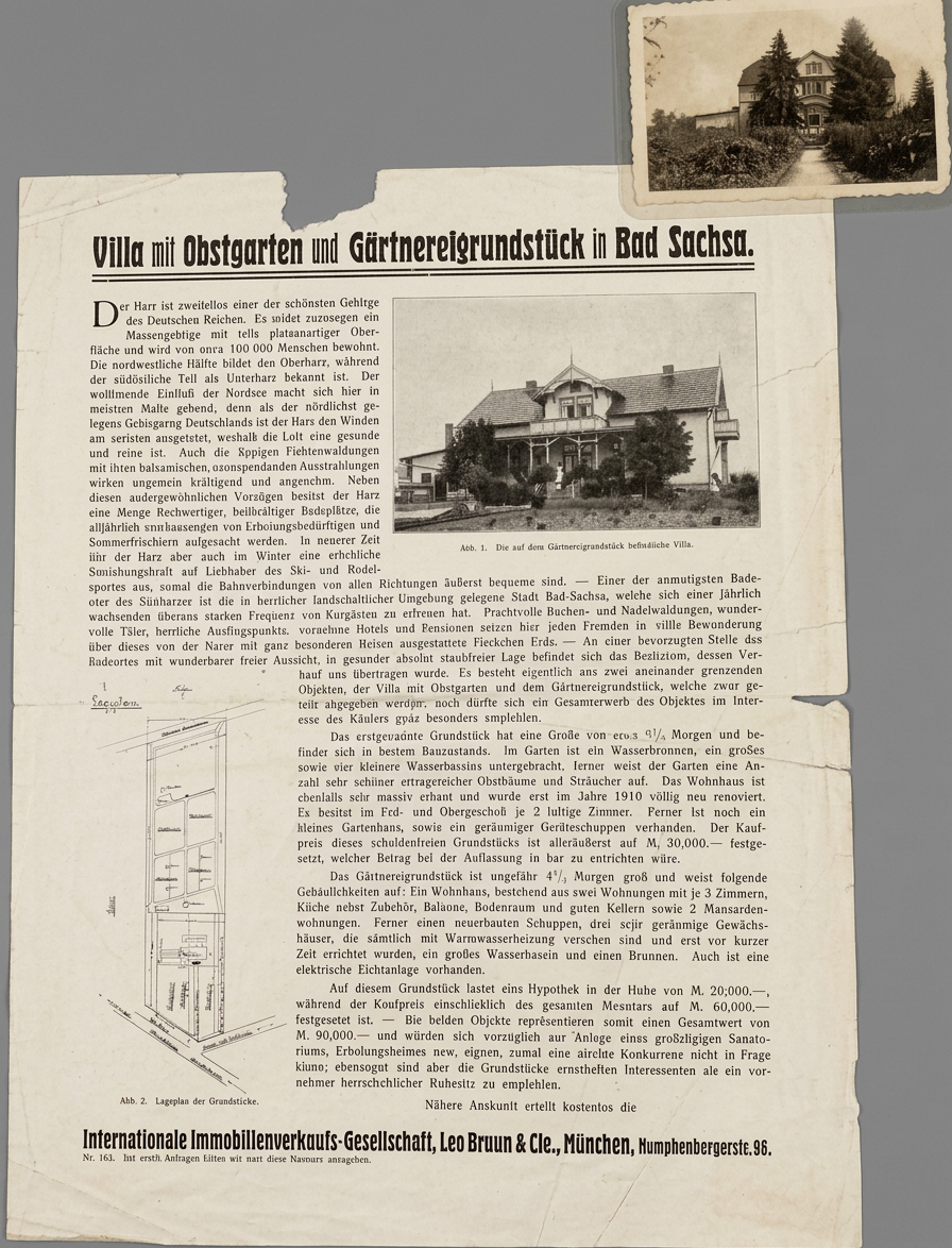 OPTIMIERT_Villa mit Obstgarten und Gärtnereigrundstück, Haus NACH dem UMBAU, Thiele Huey 18.3.2024, a